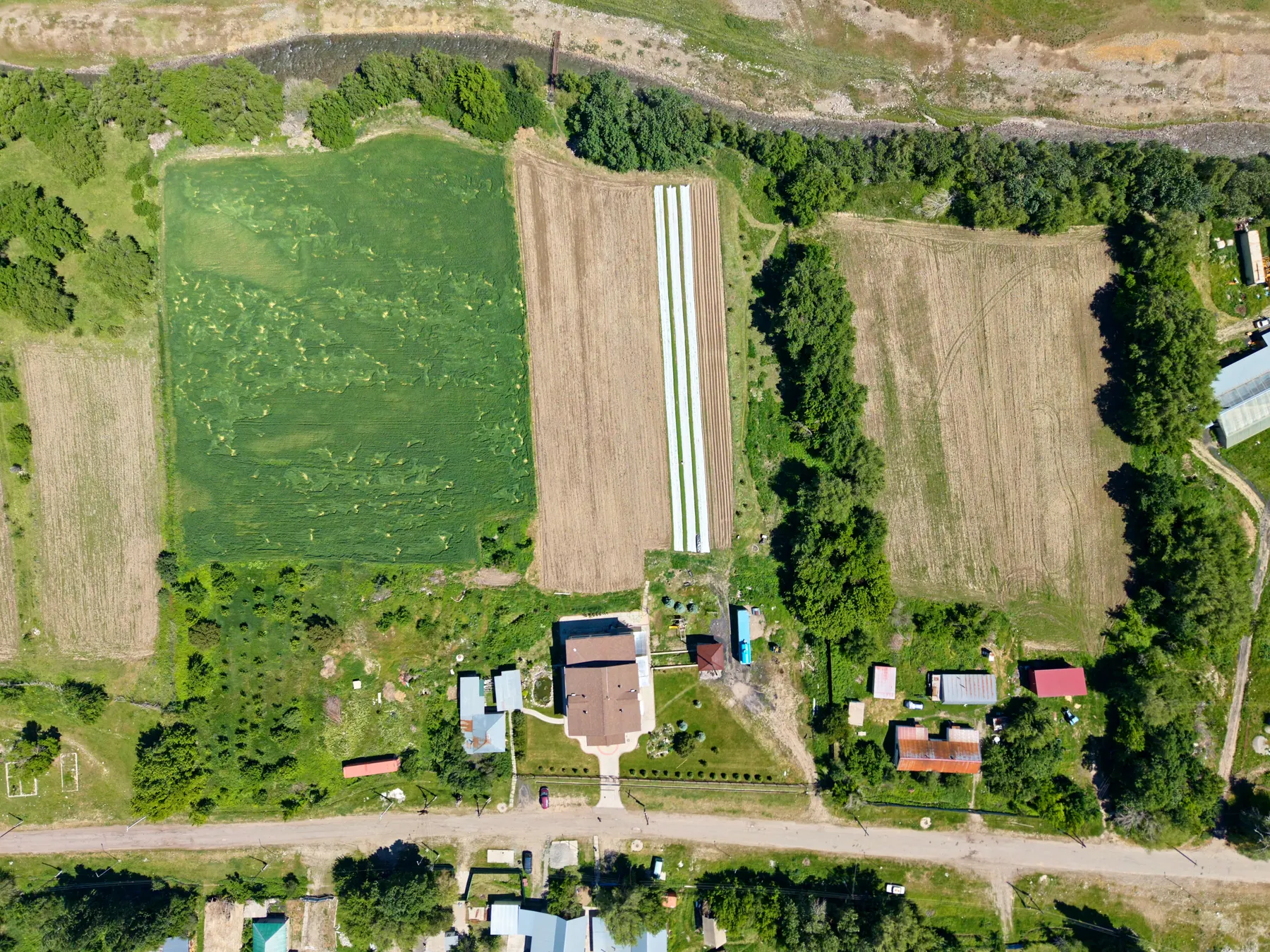 The health center grounds and gardens, seen from directly overhead