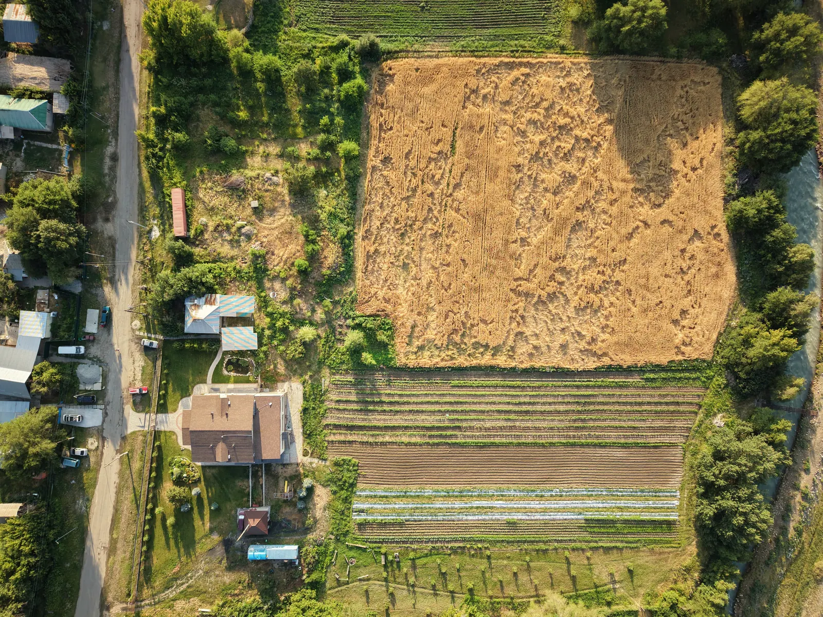An aerial view of the wheat field and vegetable rows beside the center