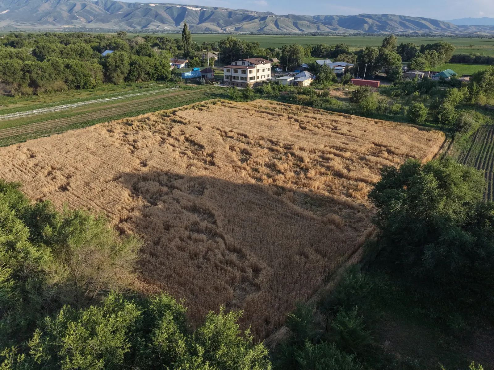 View of the green foothills from the grounds